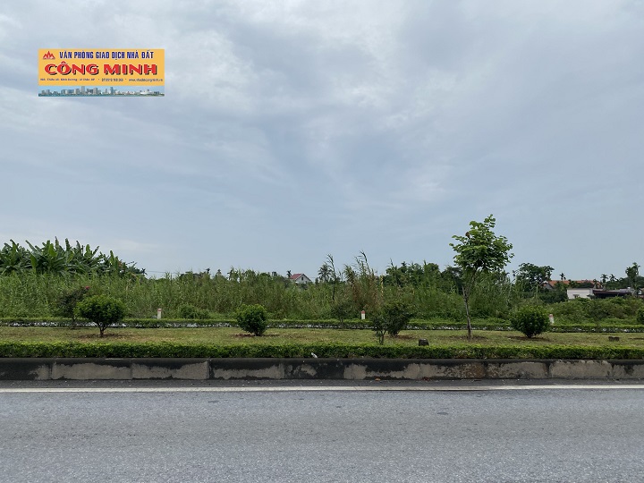 Bán đất mặt đường Nguyễn Trường Tộ, world bank Bắc Sơn, An Dương, Hải Phòng