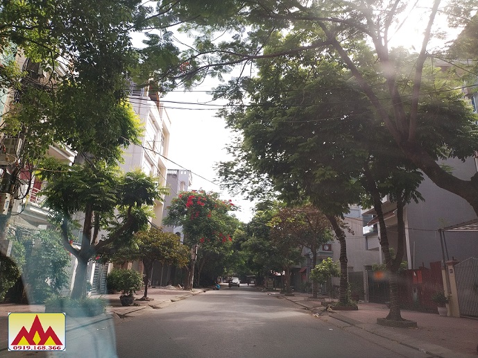 Bán đất mặt đường Quán Nam, Lê Chân, Hải Phòng.