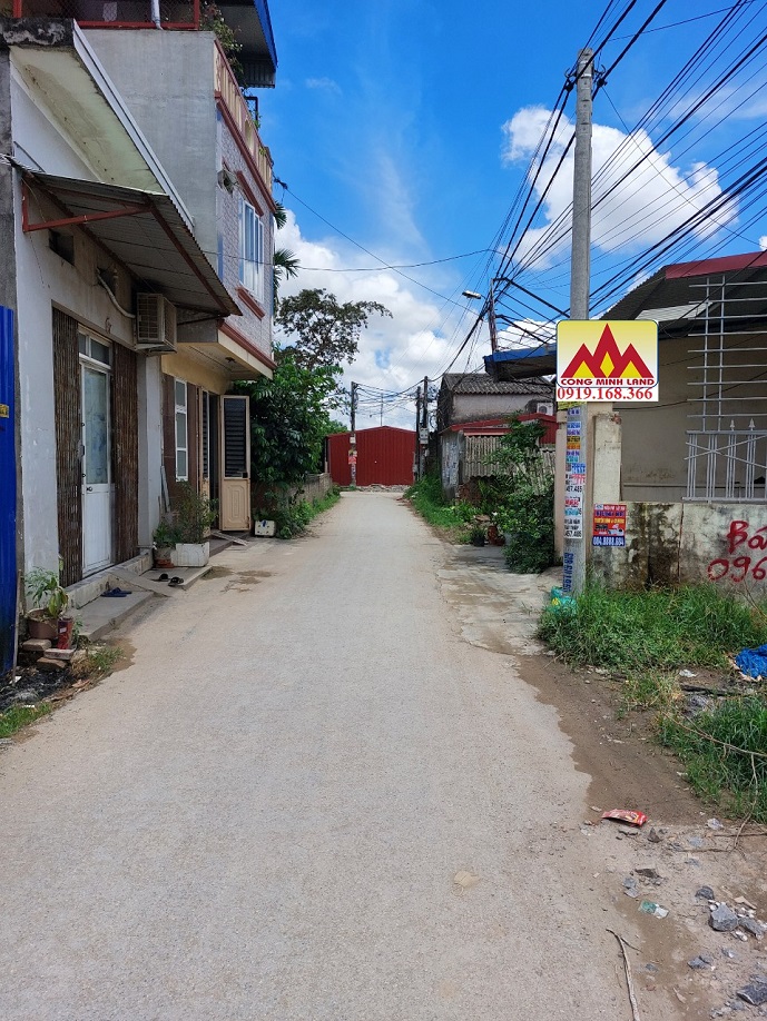 Bán đất thôn Hoàng Mai, xã Đồng Thái, An Dương, Hải Phòng 