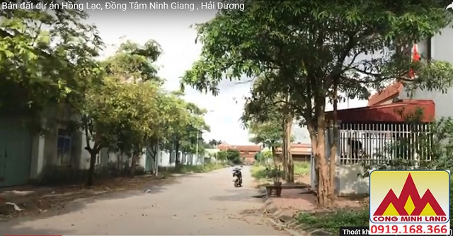 Bán đất dự án Hồng Lạc, Đồng Tâm Ninh Giang , Hải Dương 