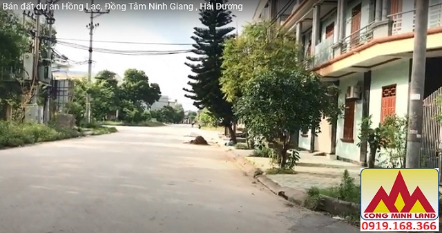 Bán đất dự án Hồng Lạc, Đồng Tâm Ninh Giang , Hải Dương 