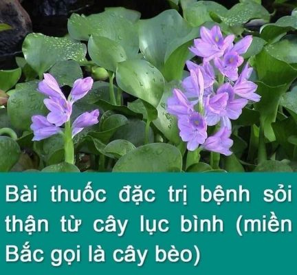 Mẹo hay giúp bạn,