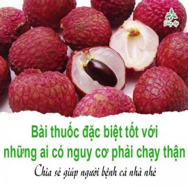 BÀI THUỐC LỌC THẬN CỦA ĐÔNG Y