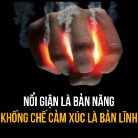 CÁI GÌ CŨNG NÓI TOẠC RA KHÔNG PHẢI THẲNG TÍNH, MÀ LÀ THIẾU GIÁO DỤC