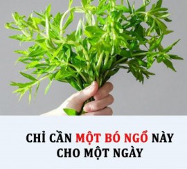 CHỈ CẦN MỘT BÓ NGỔ NÀY CHO MỘT NGÀY