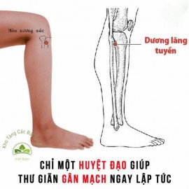 CHỈ MỘT HUYỆT THƯ GIÃN GÂN MẠCH NGAY TỨC THÌ