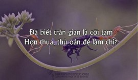 HƠN THUA NHAU ĐỂ LÀM GÌ?