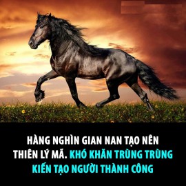 MUỐN THÀNH THIÊN LÝ MÃ, PHẢI QUA NGHÌN GIAN NAN