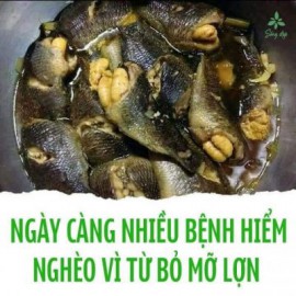 NGÀY CÀNG NHIỀU BỆNH HIỂM NGHÈO VÌ TỪ BỎ MỠ LỢN