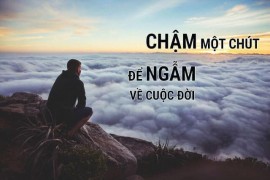 NGẪM CUỘC ĐỜI