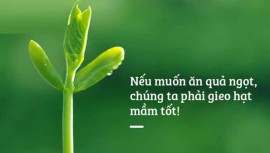 Nhân duyên quả báo tơ hào chẳng sai