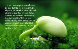 SỐNG VÀ CHẾT