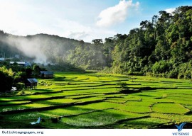 TÀI NĂNG KHÔNG ĐỢI TUỔI 