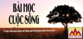 Bài học mỗi ngày trong cuộc sống 