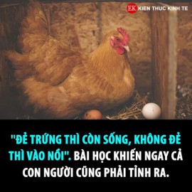 TRUYỆN NGẮN, BÀI HỌC DÀI!