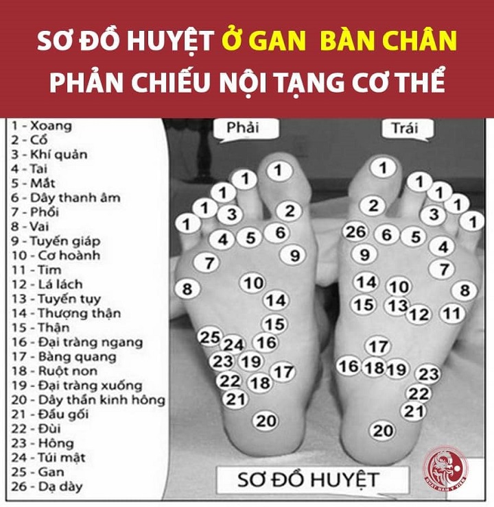 XOA BÓP GAN BÀN CHÂN CHỮA BÁCH BỆNH