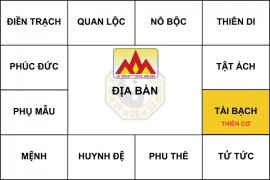 Ảnh hưởng của những sao tọa thủ tại cung Mệnh - Thân 1