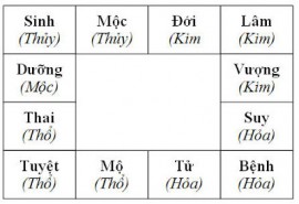 VÒNG TRƯỜNG SINH CHO PHONG THỦY DƯƠNG TRẠCH